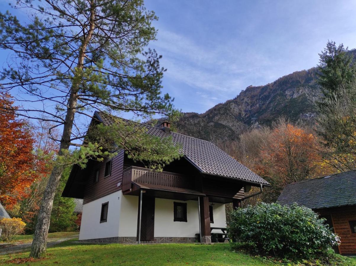 Apartmaji Zupancic Bohinj Exterior photo